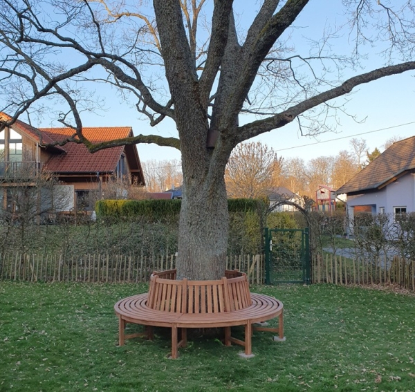 Baumbank Rundbank Holz Baumbank Rundbank Holz
